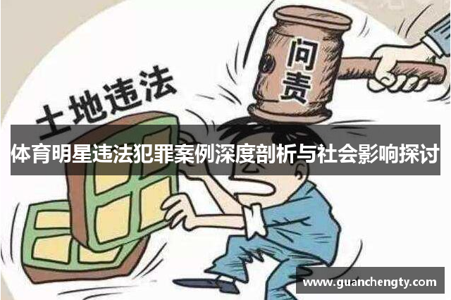 体育明星违法犯罪案例深度剖析与社会影响探讨